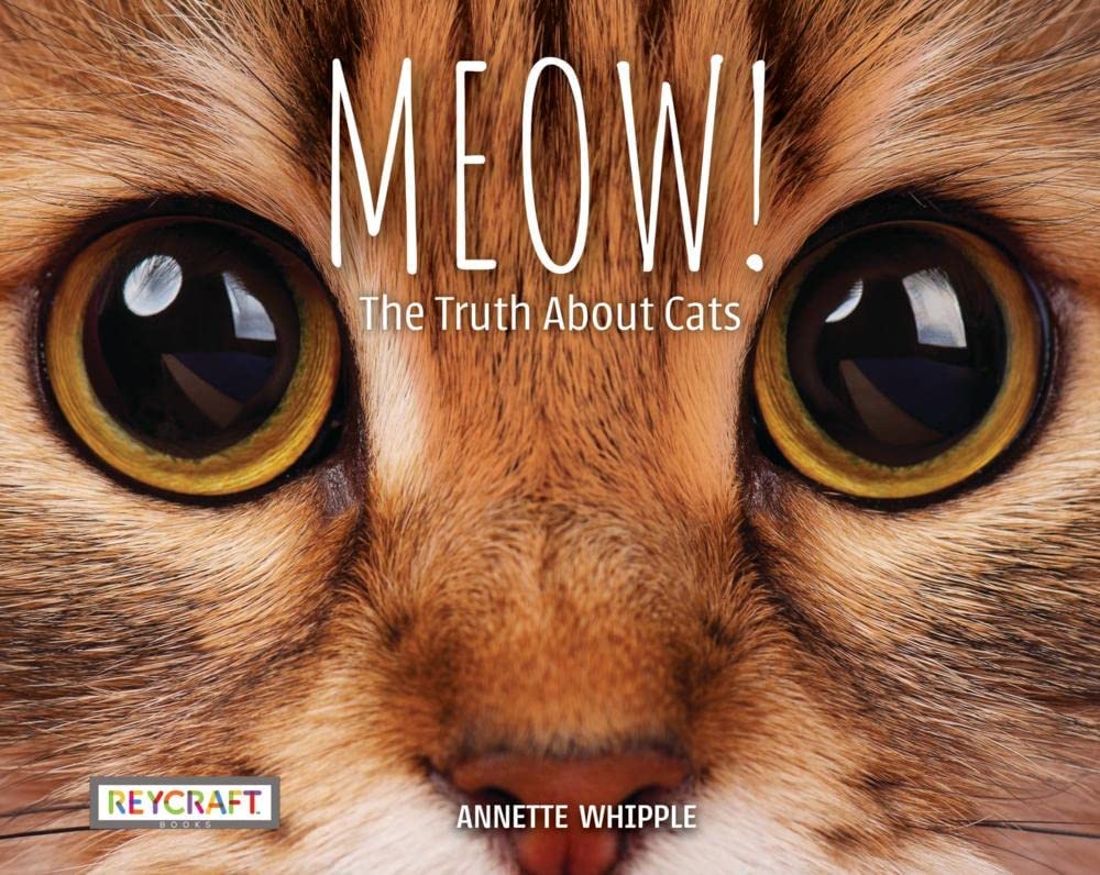 September 2023. Book cover. Meow! The Truth About Cats