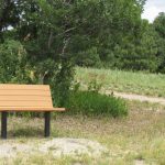 Above: A bench built as part of resident Ben Bowland’s Eagle Scout project provides a welcome resting place in The Preserve at South Woodmoor. Photo by Jackie Burhans.