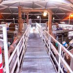 Above: The interior of the wastewater digester. Donala is a co-owner and operator of the Upper Monument Creek Regional Wastewater Treatment Facility. along with TriView Metro District and Forest Lakes Metro District. Photo by Jackie Burhans.